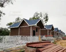 关于al西l0go的信息