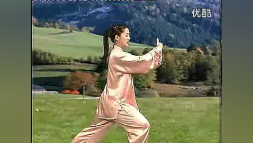 48式太极拳(48式太极拳拳谱)
